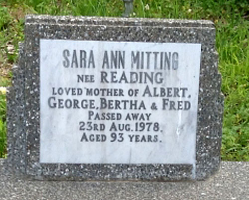 Sara Ann Mitting