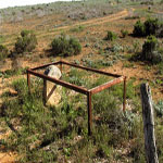 Diamond Bore, Albala Karoo Nullarbor Plains