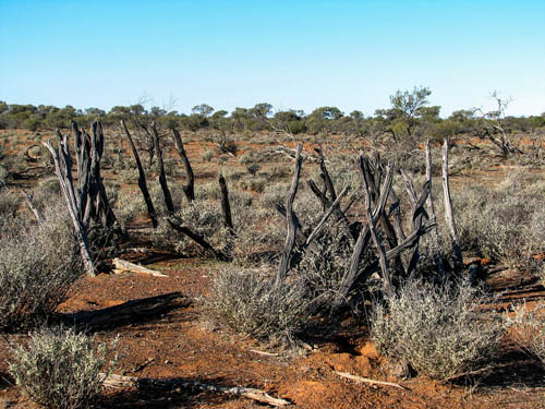 Yalgoo Burial Ground