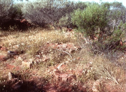 Geraldine Mine