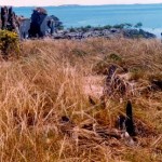 Edeline Island burial site Strickland Bay 