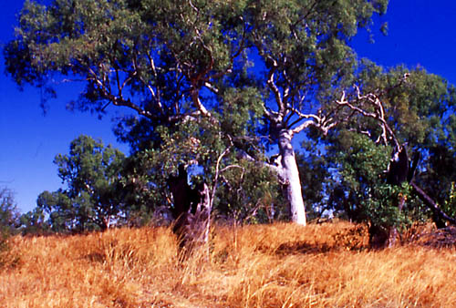 Lamboo Station