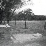 Markey Family graves 