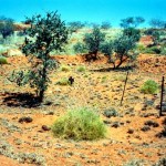 Moolyella burial ground near Marble Bar East Pilbara