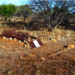 Wurarga Dam Burial site